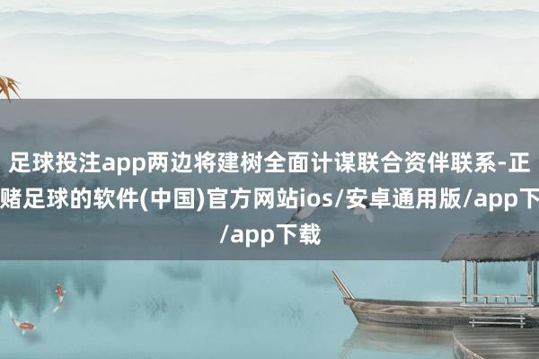 足球投注app两边将建树全面计谋联合资伴联系-正规赌足球的软件(中国)官方网站ios/安卓通用版/app下载