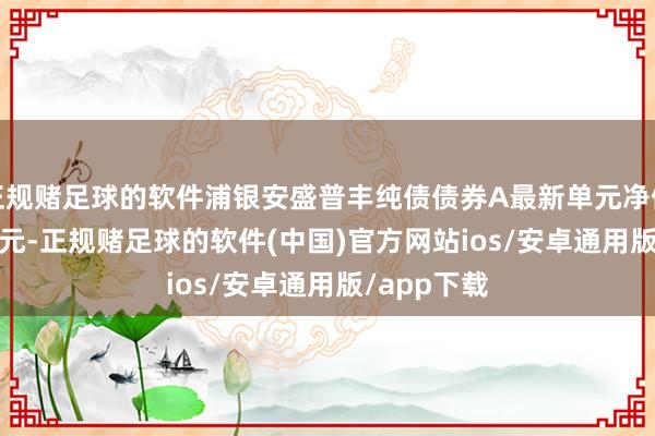 正规赌足球的软件浦银安盛普丰纯债债券A最新单元净值为1.0256元-正规赌足球的软件(中国)官方网站ios/安卓通用版/app下载