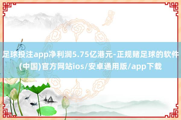 足球投注app净利润5.75亿港元-正规赌足球的软件(中国)官方网站ios/安卓通用版/app下载