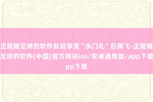 正规赌足球的软件航班享受“水门礼”后腾飞-正规赌足球的软件(中国)官方网站ios/安卓通用版/app下载