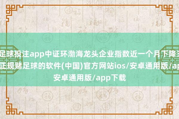 足球投注app中证环渤海龙头企业指数近一个月下降3.20%-正规赌足球的软件(中国)官方网站ios/安卓通用版/app下载