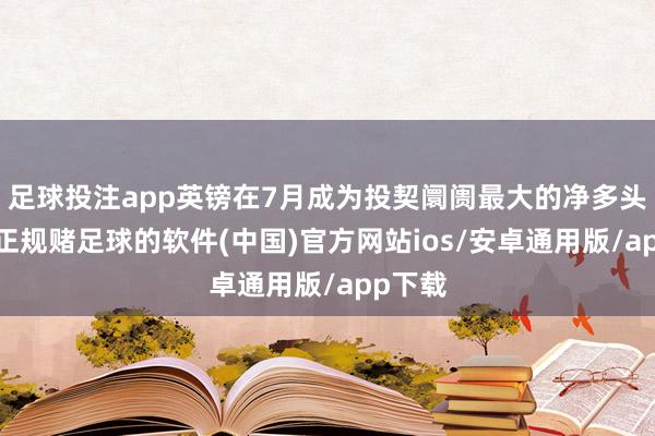 足球投注app英镑在7月成为投契阛阓最大的净多头仓位-正规赌足球的软件(中国)官方网站ios/安卓通用版/app下载