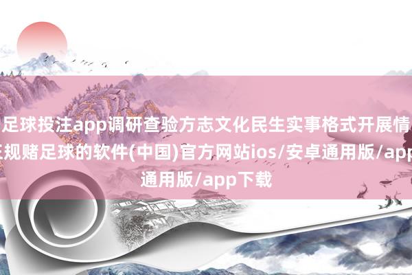 足球投注app调研查验方志文化民生实事格式开展情况-正规赌足球的软件(中国)官方网站ios/安卓通用版/app下载