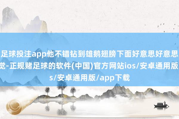 足球投注app他不错钻到雄鹅翅膀下面好意思好意思地睡上一觉-正规赌足球的软件(中国)官方网站ios/安卓通用版/app下载