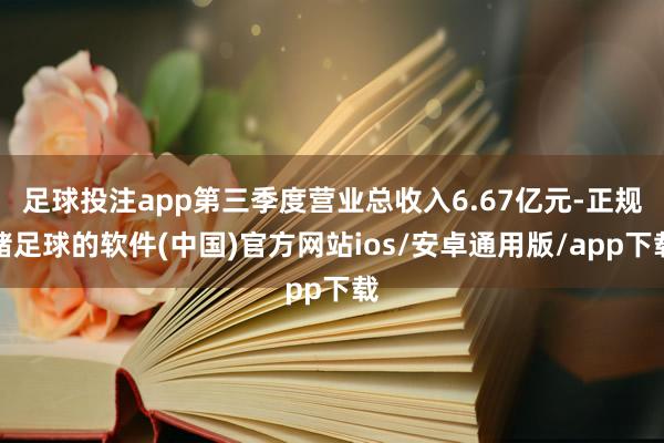 足球投注app第三季度营业总收入6.67亿元-正规赌足球的软件(中国)官方网站ios/安卓通用版/app下载