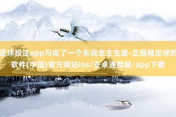 足球投注app习尚了一个东说念主生涯-正规赌足球的软件(中国)官方网站ios/安卓通用版/app下载