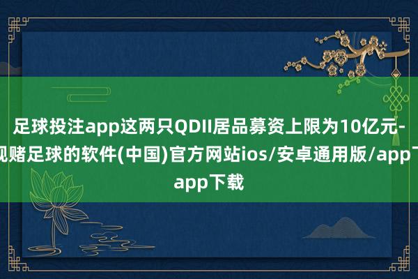 足球投注app这两只QDII居品募资上限为10亿元-正规赌足球的软件(中国)官方网站ios/安卓通用版/app下载