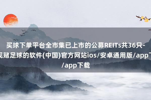 买球下单平台全市集已上市的公募REITs共36只-正规赌足球的软件(中国)官方网站ios/安卓通用版/app下载