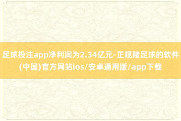 足球投注app净利润为2.34亿元-正规赌足球的软件(中国)官方网站ios/安卓通用版/app下载