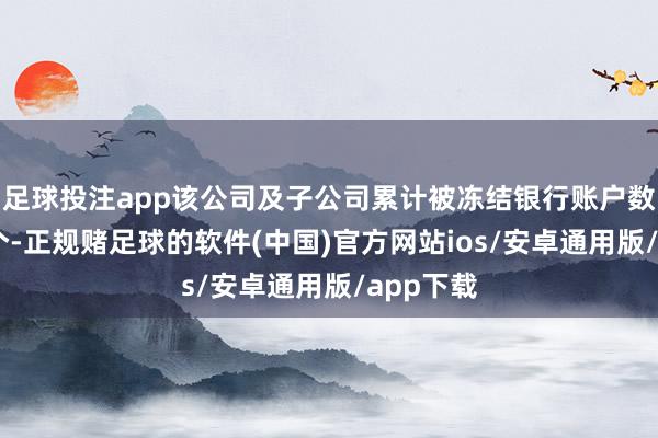 足球投注app该公司及子公司累计被冻结银行账户数目达65个-正规赌足球的软件(中国)官方网站ios/安卓通用版/app下载