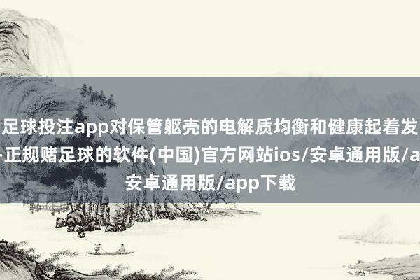 足球投注app对保管躯壳的电解质均衡和健康起着发愤作用-正规赌足球的软件(中国)官方网站ios/安卓通用版/app下载