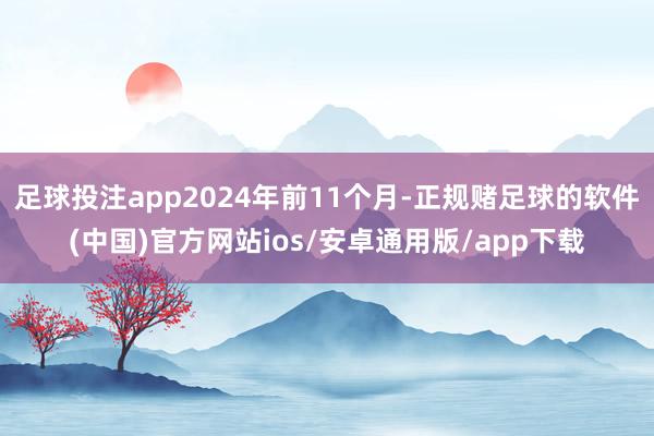 足球投注app2024年前11个月-正规赌足球的软件(中国)官方网站ios/安卓通用版/app下载