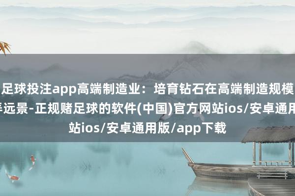 足球投注app高端制造业：培育钻石在高端制造规模具有等闲愚弄远景-正规赌足球的软件(中国)官方网站ios/安卓通用版/app下载