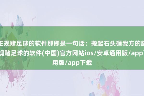 正规赌足球的软件那即是一句话：搬起石头砸我方的脚-正规赌足球的软件(中国)官方网站ios/安卓通用版/app下载