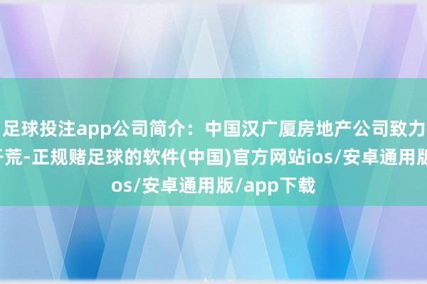 足球投注app公司简介：中国汉广厦房地产公司致力于于地盘开荒-正规赌足球的软件(中国)官方网站ios/安卓通用版/app下载