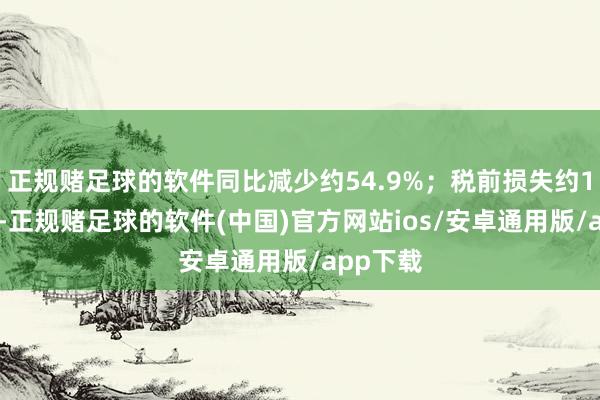 正规赌足球的软件同比减少约54.9%；税前损失约108亿元-正规赌足球的软件(中国)官方网站ios/安卓通用版/app下载