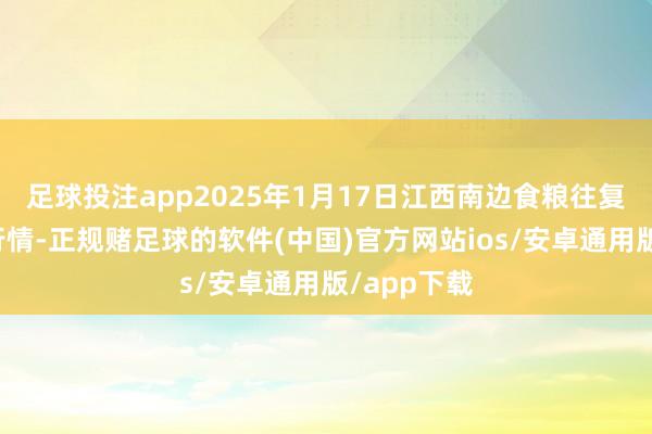 足球投注app2025年1月17日江西南边食粮往复阛阓价钱行情-正规赌足球的软件(中国)官方网站ios/安卓通用版/app下载