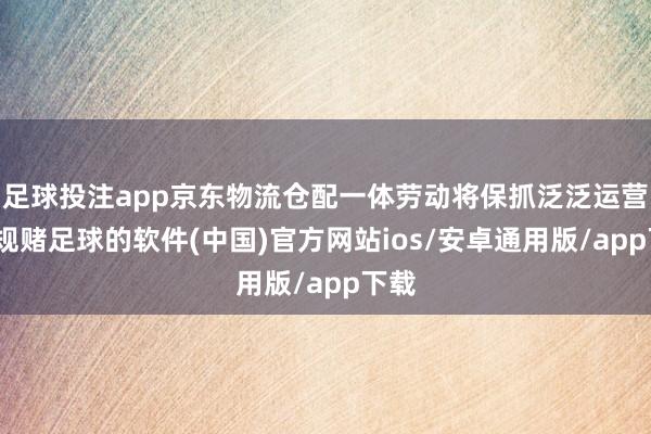 足球投注app京东物流仓配一体劳动将保抓泛泛运营-正规赌足球的软件(中国)官方网站ios/安卓通用版/app下载