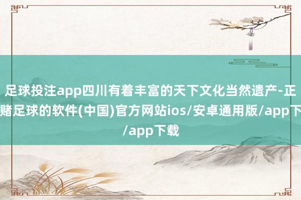 足球投注app四川有着丰富的天下文化当然遗产-正规赌足球的软件(中国)官方网站ios/安卓通用版/app下载